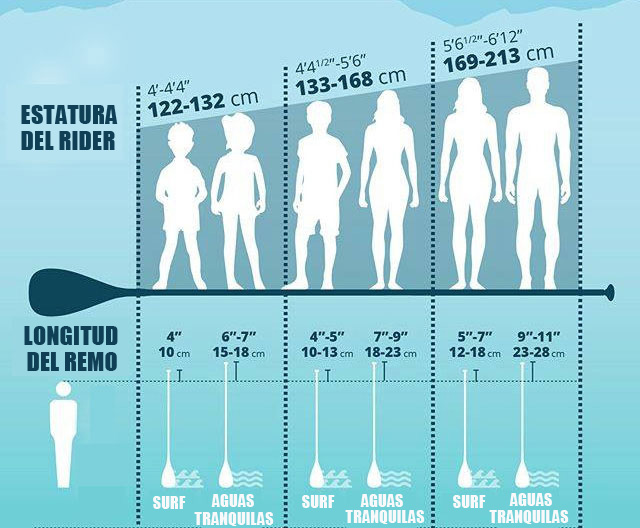 Guia longitud de remo vs altura rider